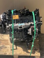 Motor 1.6D 8V T1DA T1DB T1BA T1BB FORD FOCUS III UNKOMPLETT Berlin - Wilmersdorf Vorschau