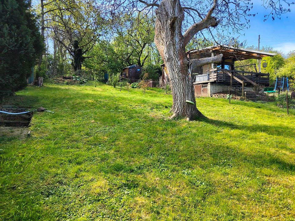 Garten  Bungalow in Klipphausen