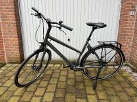 Damen Fahrrad Rabeneick TS5 Münster (Westfalen) - Mauritz Vorschau