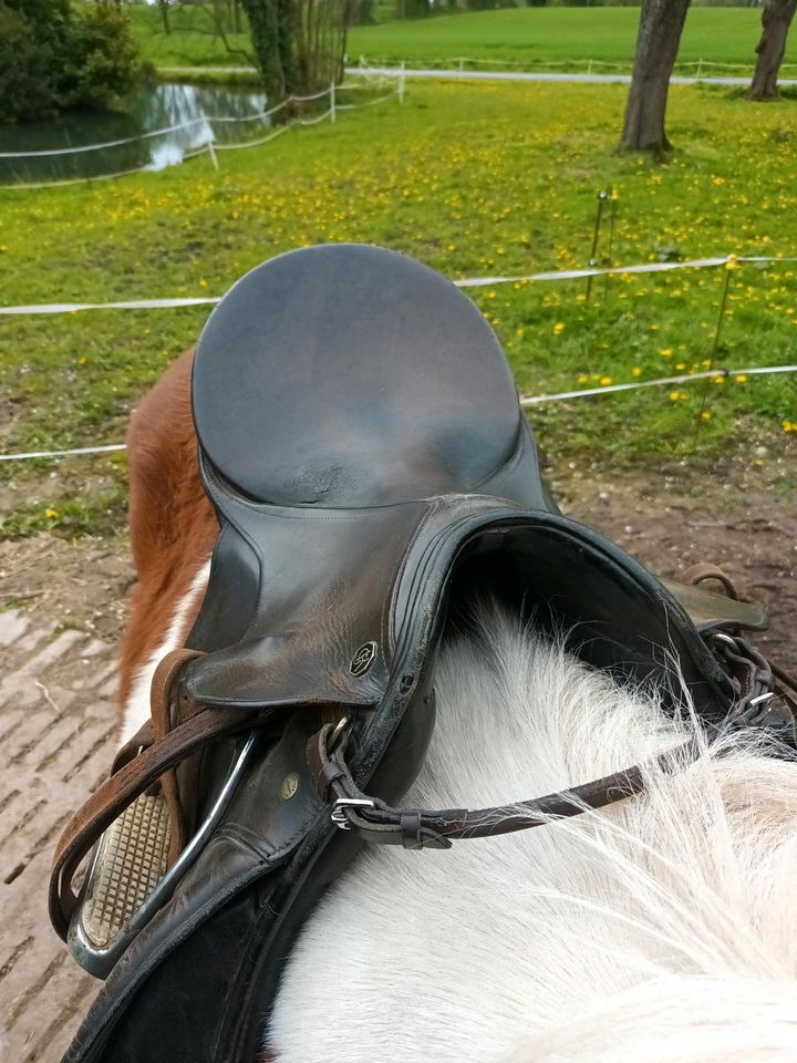 Pony Sattel in Nottuln