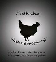 Ehemalige Legehennen suchen artgerechtes Zuhause❤️ Huhn Niedersachsen - Kirchlinteln Vorschau