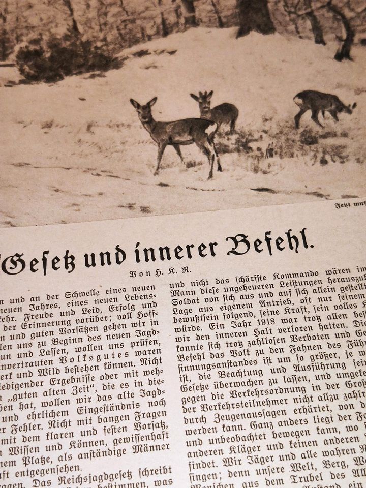 1942 Der Deutsche Jäger 61. Jahrgang Nr.49/50 13.März 2. WK in Hohenberg a.d. Eger