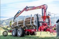 Brennholz Abtransport Baden-Württemberg - Engen Vorschau