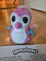 Hatchimals spinmaster Bonn - Kessenich Vorschau