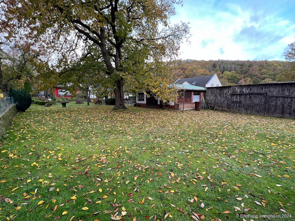 Ehemalige Schmiede mit Wasserrecht, Stromerzeugung mit Turbine, Teiche, 2.240 m² Grund ... in Mechernich