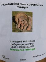 44 Pflanzkartoffeln u. 6 Tomatenpflanzen Sachsen - Wilsdruff Vorschau