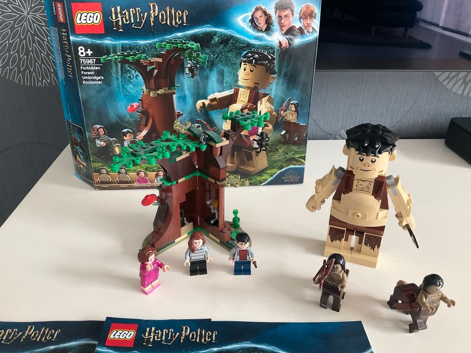 Lego 75967 Harry Potter in Leingarten