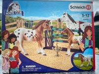 Schleich Horse Club 43433 *Neuwertig* Nordrhein-Westfalen - Nettetal Vorschau