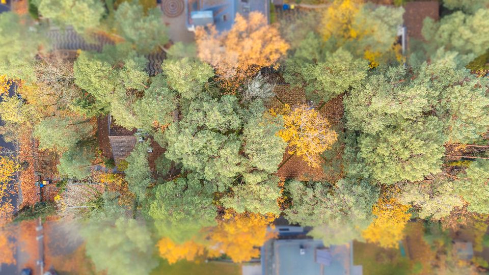 Massives Einfamilienhaus mit waldähnlichem Grundstück in Berlin-Frohnau in Berlin