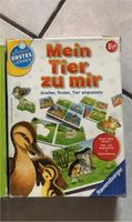 Ravensburger ⭐️ erste Spiele ⭐️ Ab 1,5 Jahren Hessen - Grebenhain Vorschau