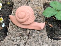 Kleine Deko Schnecke aus Ton Nordrhein-Westfalen - Lippstadt Vorschau