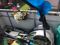 Laufband Sport Fitness Nordrhein-Westfalen - Hamminkeln Vorschau