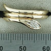 Ring Gold 333/000 mit Diamanten, Diamantring, Schlagenring Rheinland-Pfalz - Friedelsheim Vorschau