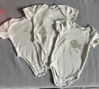 3 Baby Bodys kurzärmelig Gr. 62/68 Brandenburg - Schildow Vorschau