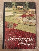 Bodendeckende Pflanzen Dresden - Laubegast Vorschau