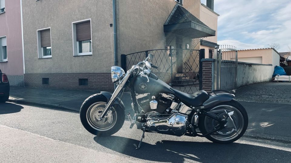 Harley Davidson Fat Boy / Jeckyll & Hyde in Troisdorf