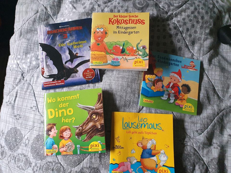 5x Pixi Bücher Sandmann Dino Dragons usw in Ingolstadt