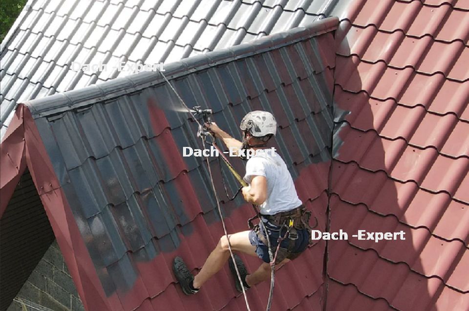 Dachreinigung Dachbesichtung Fassadenreinigung Pflastersteinreing in Brandenburg an der Havel