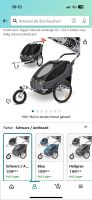 Kesser Fahrradanhänger / Buggy, 2 sitzer Hamburg-Mitte - Hamburg Hamm Vorschau