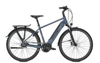 Raleigh Bristol 5, Bosch Performance, 500Wh Akku Niedersachsen - Neuenhaus Vorschau