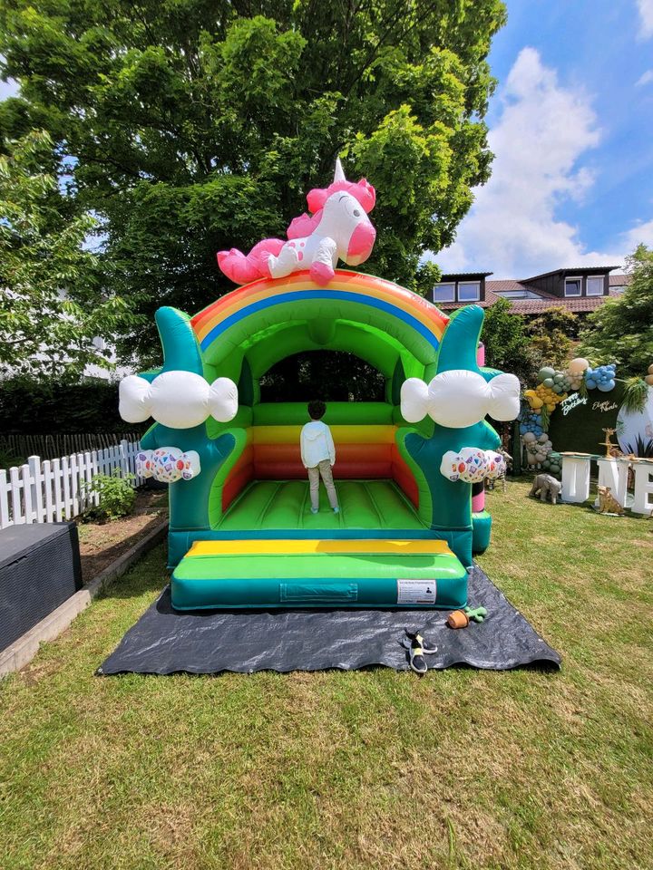 Hüpfburg Einhorn mieten Heilbronn, Geburtstag, Hochzeit, Feier, in Heilbronn