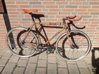 Fixie (RH 54 cm) Schleswig-Holstein - Bad Bramstedt Vorschau