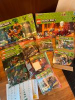 LEGO Minecraft Sammlung Konvolut Hessen - Schwalbach a. Taunus Vorschau