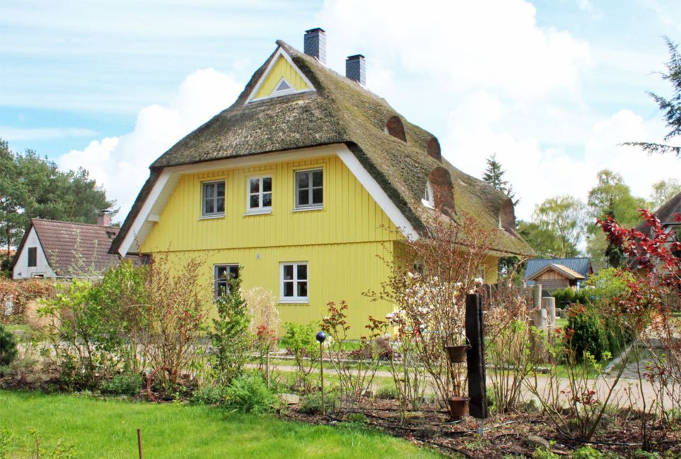 Unterm Reetdach die Ferien genießen - DHH in Born a. Darß in Born am Darß