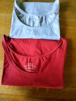 2 Trägertops/ Basic Shirts gr. 46 rot und grau Janina Stretch Bayern - Laaber Vorschau