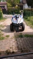 Quad in Red Bull Style Neu-Seeland - Neupetershain Vorschau