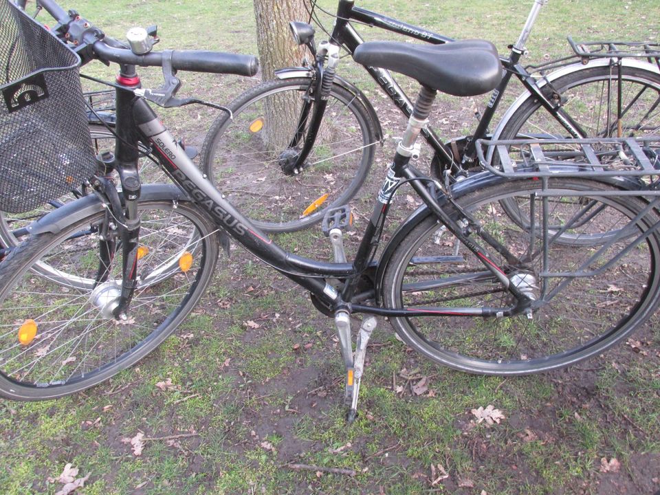 Pegasus,  Tandem, MIFA-Klappfahrrad, Mountainbike in Fehrbellin