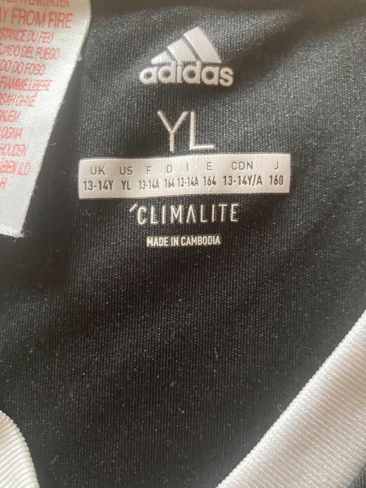 Adidas T-Shirt Gr. 158 in Plau am See