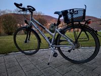 Fahrrad Damen Wheeler 3730 Bayern - Strullendorf Vorschau