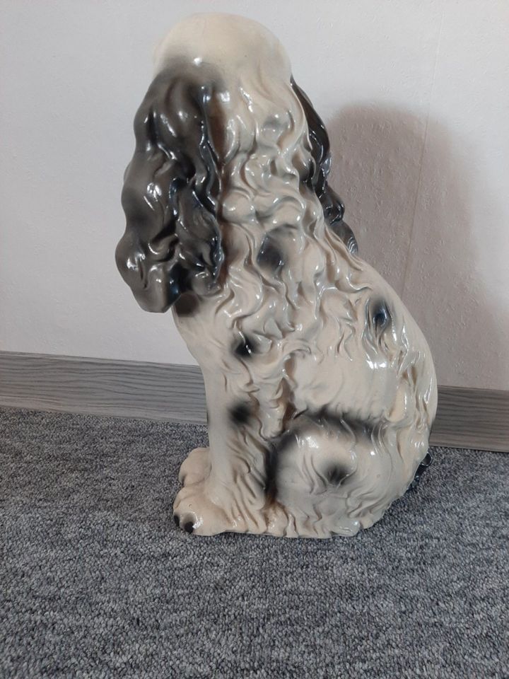 Deko Figur Hund sitzend Cocker Spaniel in Petersberg (Saalekreis)