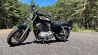 Harley-Davidson Sportster XL1200 Vergaser Niedersachsen - Trebel Vorschau