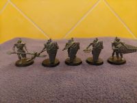 5 Necron Lychguard Nordrhein-Westfalen - Issum Vorschau