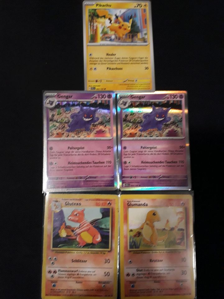 Pokemon Karten Sammlung, TCG, Sammelkarten in Otter