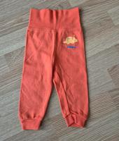 Hose Dino☀️lupilu☀️Gr. 62/68 Aachen - Kornelimünster/Walheim Vorschau