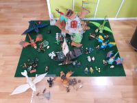 Playmobil Dragons mit viel Zubehör Rheinland-Pfalz - Maxdorf Vorschau