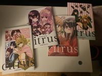 Girls Love Citrus Manga Special Edition Kurzgeschichten Bayern - Zeil Vorschau