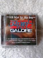 Rhymes Galore  Ich lebe für Hip Hop  Doppel-CD Schleswig-Holstein - Itzehoe Vorschau