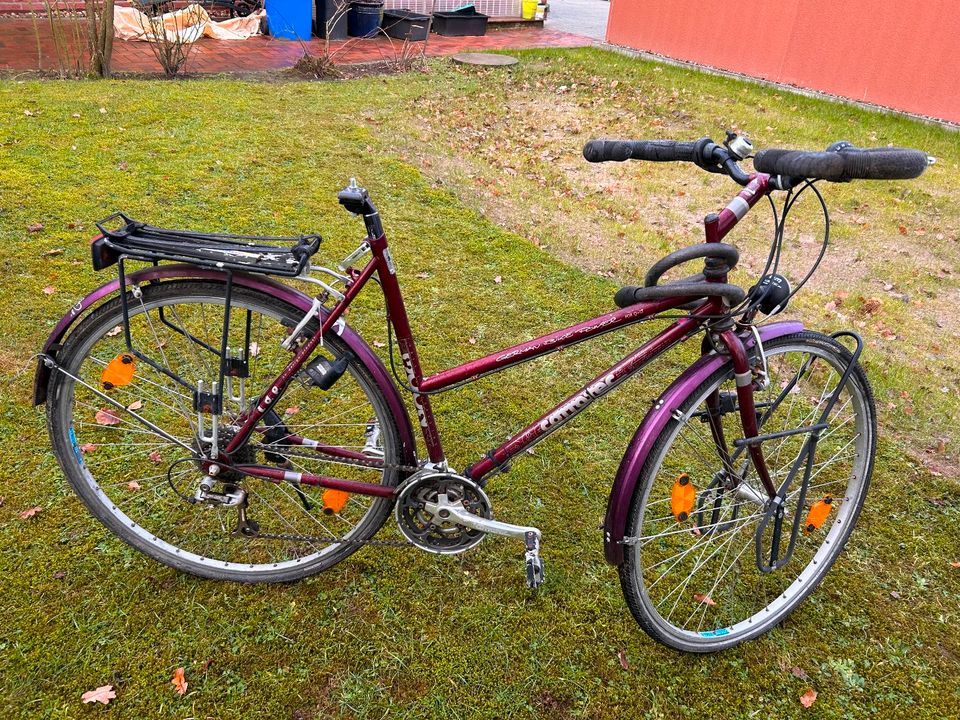 Corratec Fahrrad Trekking Tourenrad Bastler 28 Zoll, Tubus in Hambergen