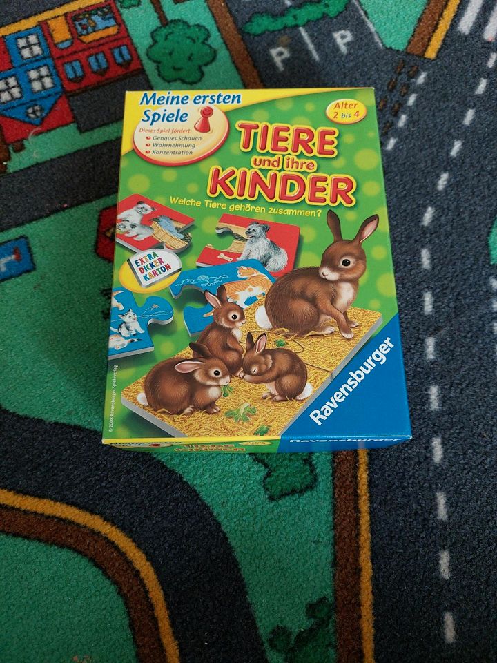 Lernspiel Kleinkindern in Mörfelden-Walldorf