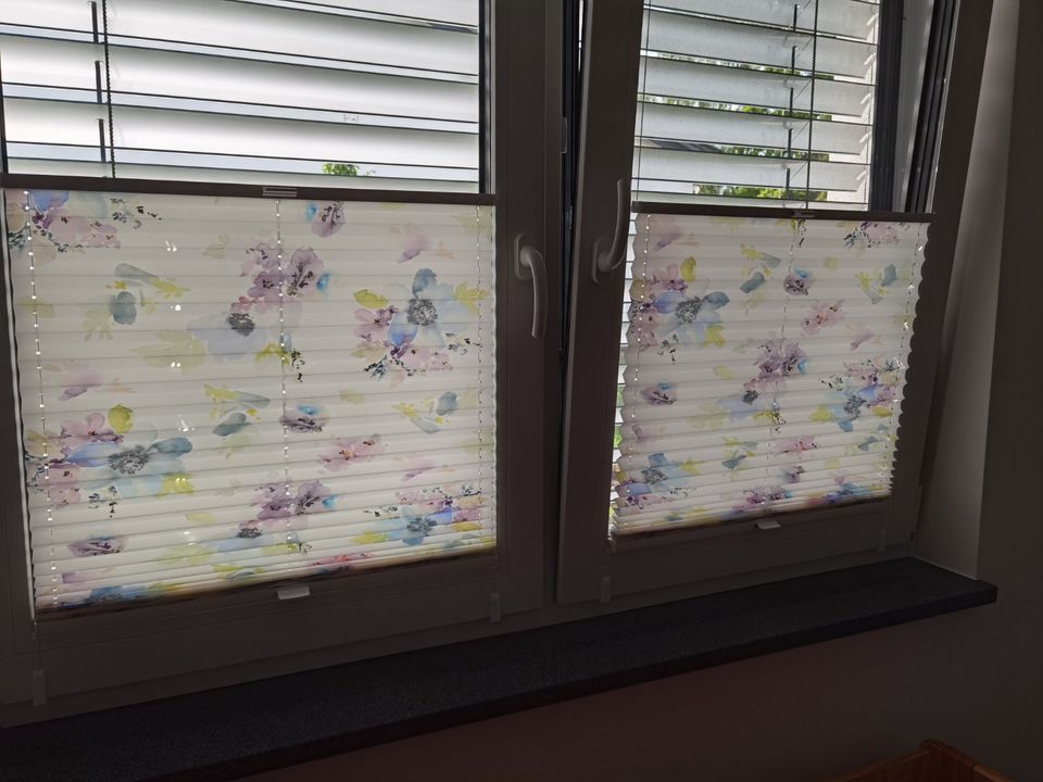 Plissee, Sicht- und Sonnenschutz, für Fenster, 2 Stück in Hainichen