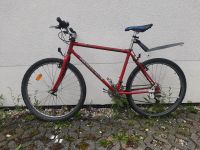 Diamond Back APEX 26" Klassiker Mountainbike Kellerfund Thüringen - Jena Vorschau