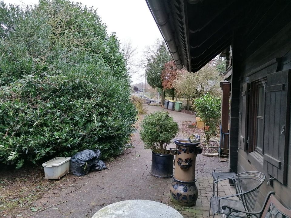 Bauernhof mit Panorama-Blick - Wohnen mit Tieren in Windeck