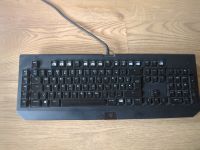 Mechanisch Gaming Tastatur Razor Blackwindow Chrom Hamburg - Altona Vorschau