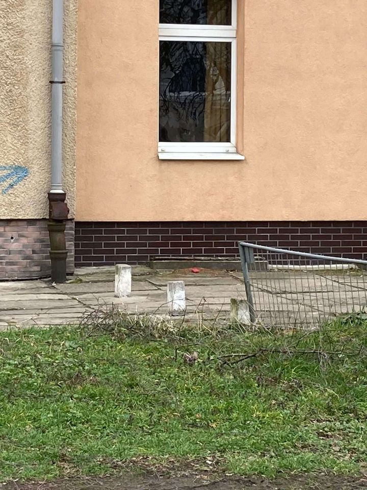 Ferien Kurzurlaub Suite 2 Zi. Stettin Baltik Szczecin Oder Haff in Crailsheim