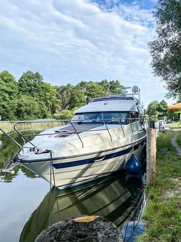 Motorboot  Motoryacht Neptunus Sedan 138 in Lübbecke 