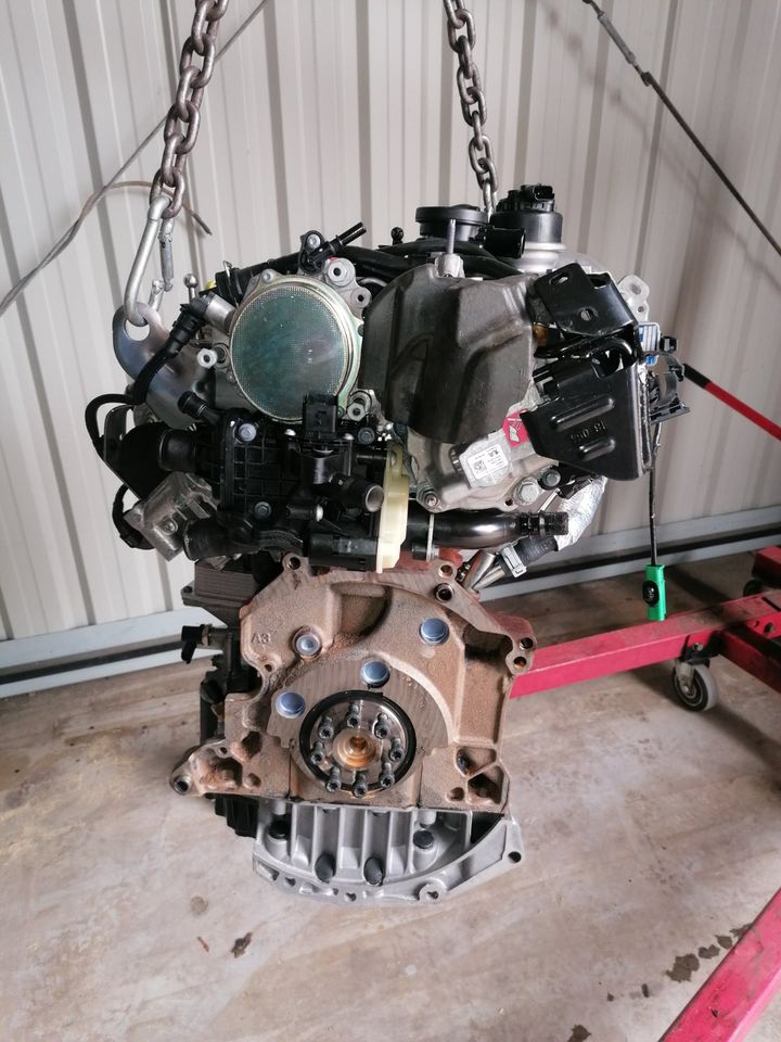 Motor Komplett Ford KUGA MONDEO T7CJ 2,0 TDCI 66Tkm 1 Jahr in Küstriner Vorland